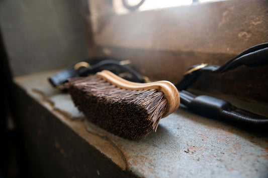 Brosse dur banane poils bassine - Borstiq Farm