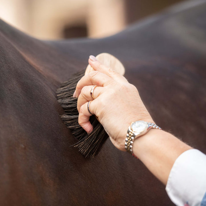Brosse banane poils arenga - Borstiq Farm
