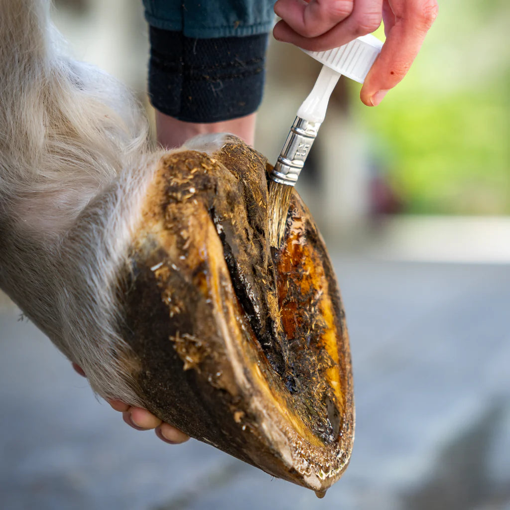 Huile sabot sensible - Cura Naturale