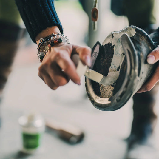 Argile assainissante sabots - Cura Naturale