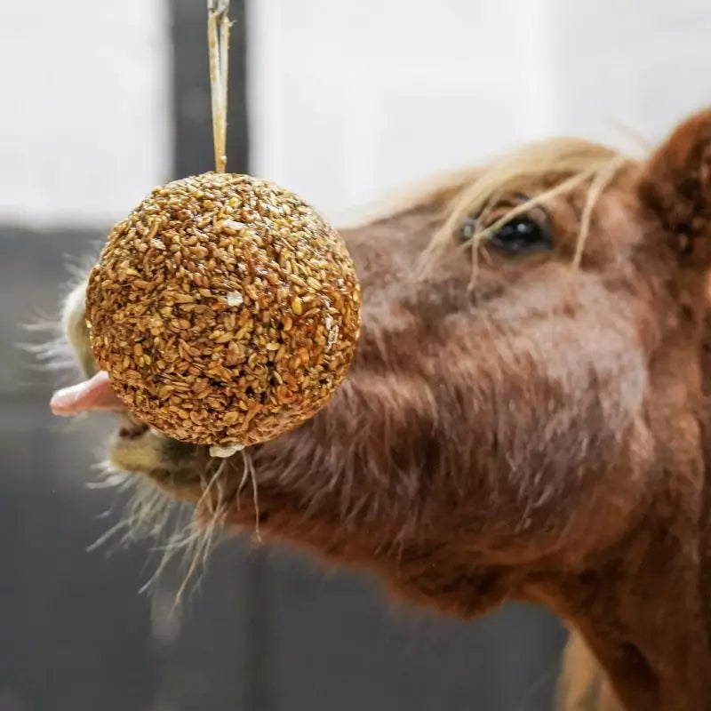 Likit Granola Stall Ball