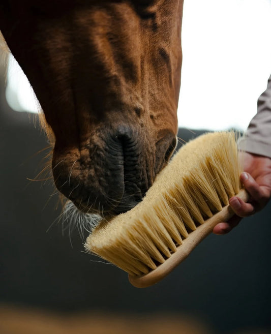 Pourquoi choisir les brosses Borstiq Farm?