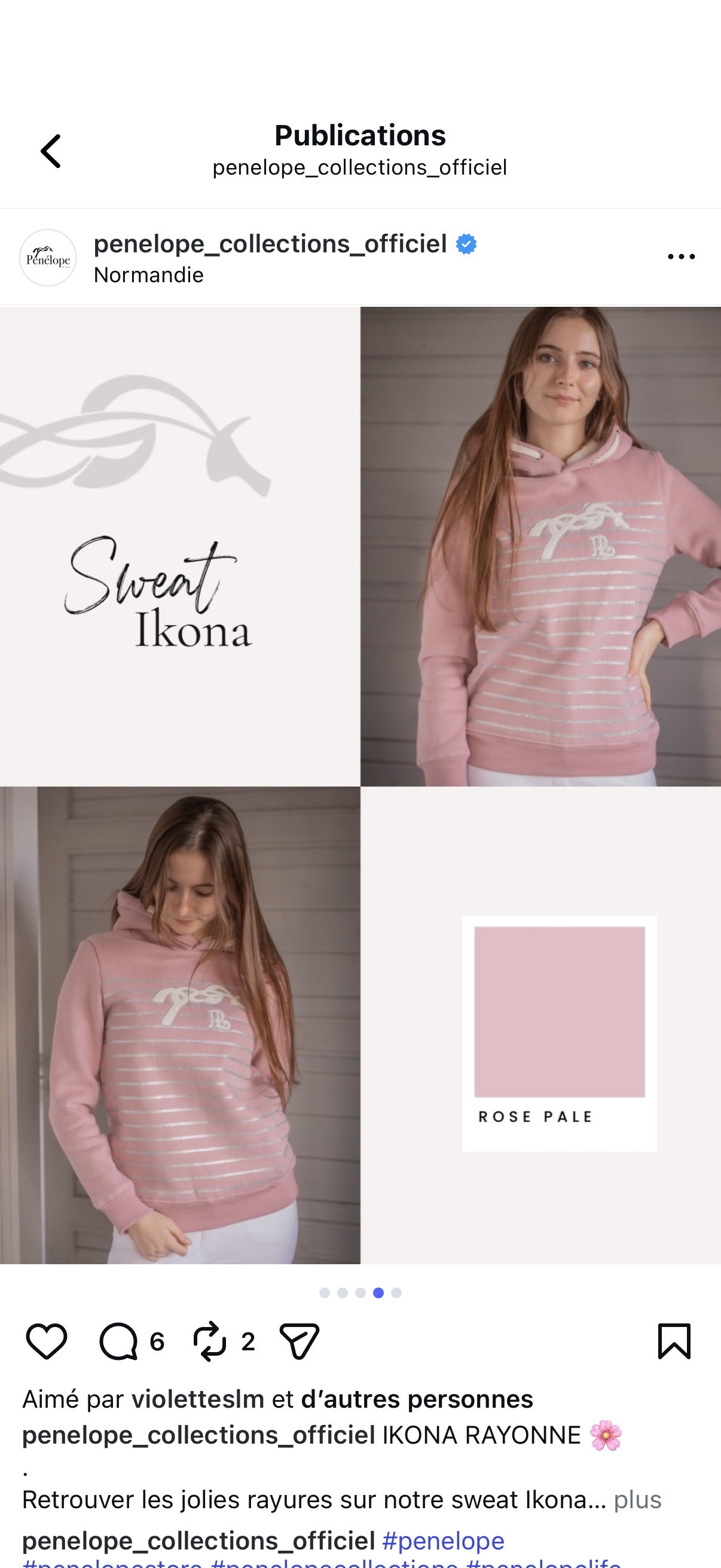 Sweat Ikona - Pénélope Leprevost