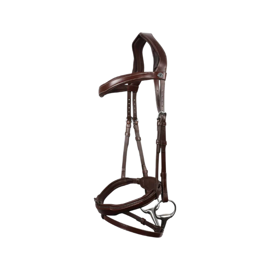Bridon anatomique Signature muserolle combinée  - Antares Sellier