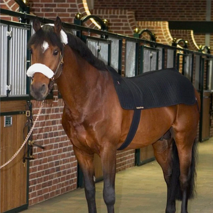 Chauffe-dos back warmer royal - Back On Track