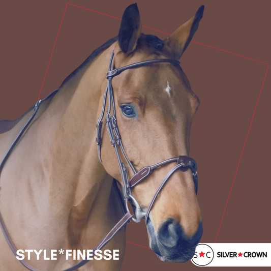Bridon Style Finesse - Silver Crown