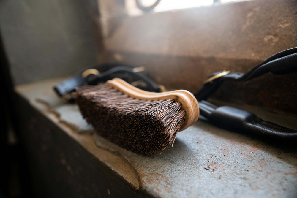 Brosse dur banane poils bassine - Borstiq Farm