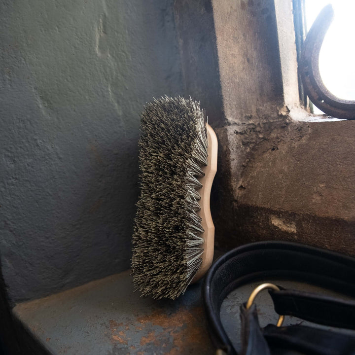 Brosse infini polypropylène - Borstiq farm