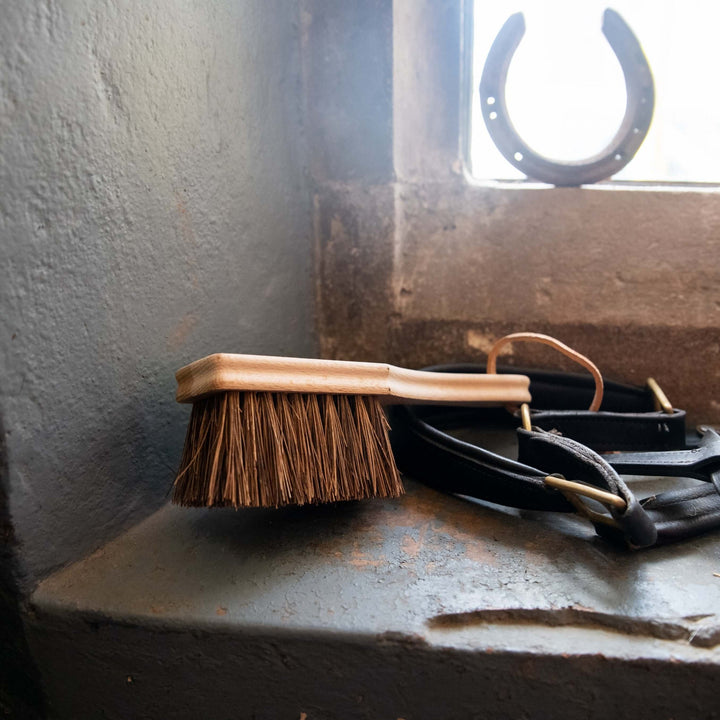 Brosse à sabot - Borstiq Farm