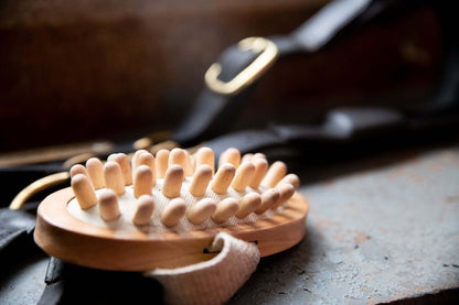 Brosse de massage  - Borstiq Farm