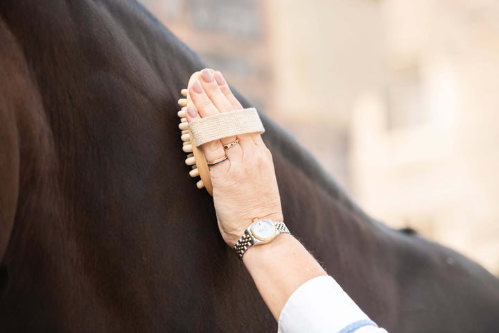 Brosse de massage  - Borstiq Farm