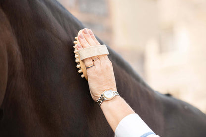 Brosse de massage  - Borstiq Farm