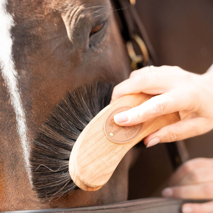 Brosse douce banane poils doux - Borstiq Farm