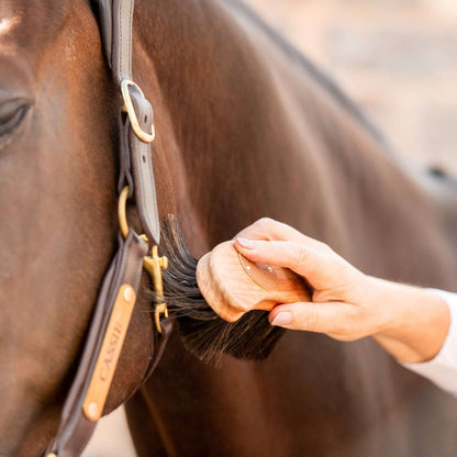 Brosse douce banane poils doux - Borstiq Farm