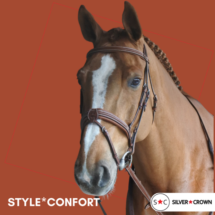 Bridon Style confort - Silver Crown