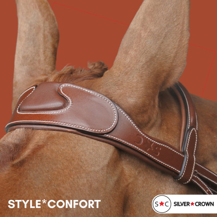 Bridon Style confort - Silver Crown