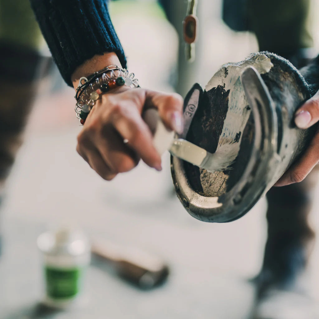 Argile assainissante sabots - Cura Naturale