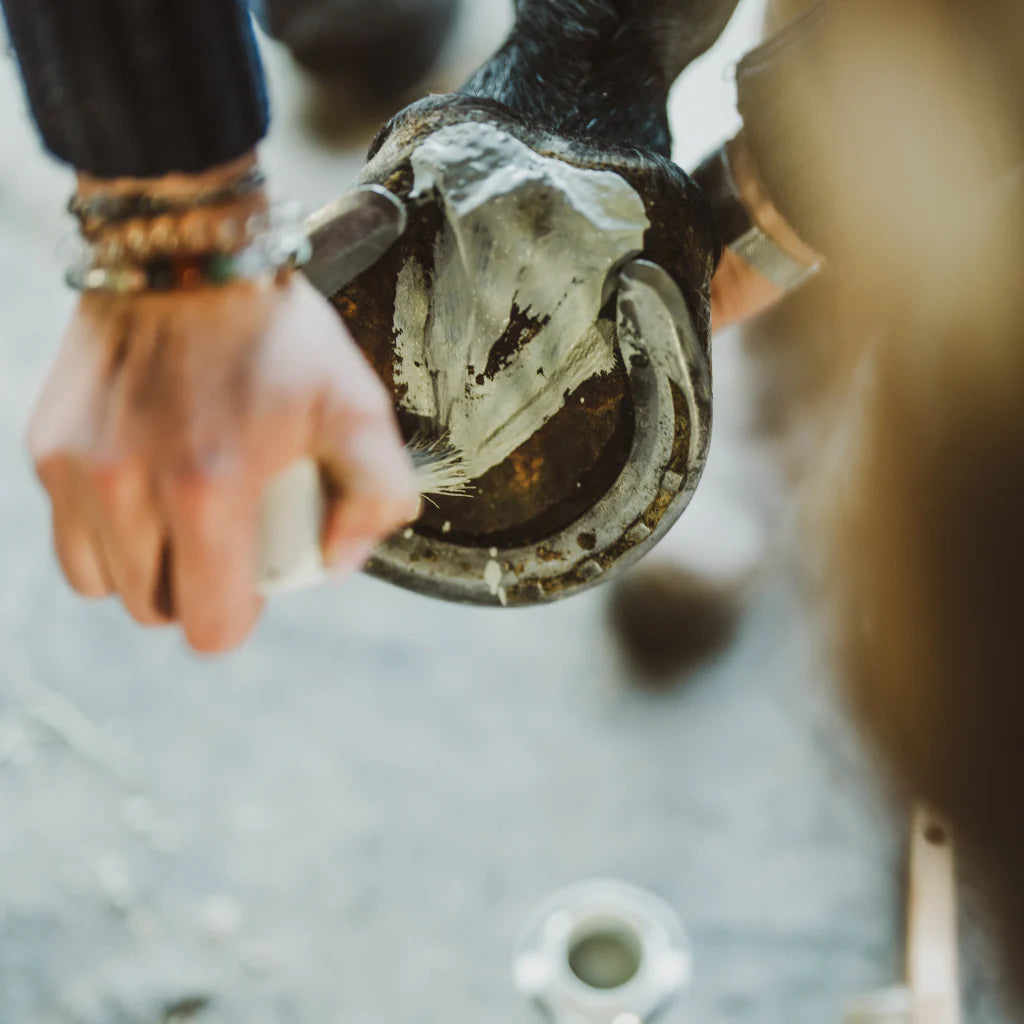 Argile assainissante sabots - Cura Naturale