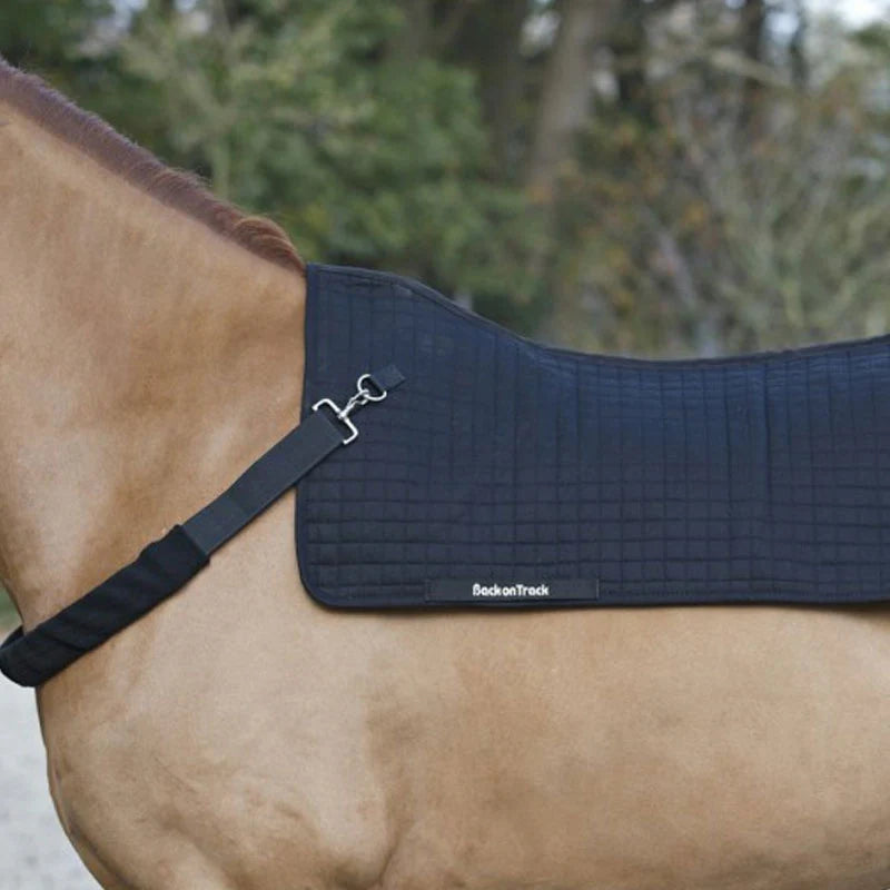 Chauffe-dos back warmer royal - Back On Track