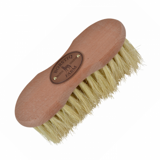 Brosse cactus & crins - Borstiq farm